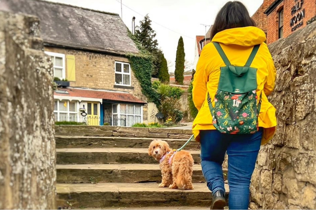 lady walking a small dog on a lead up some steps